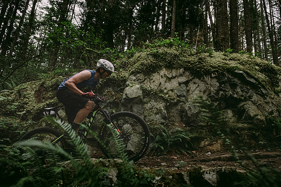 BCBR19_0_0023_MR
