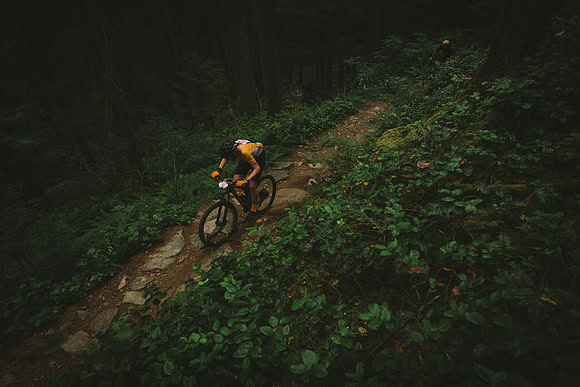 BCBR19_0_0027_MR