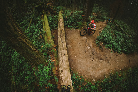 BCBR19_0_0032_MR