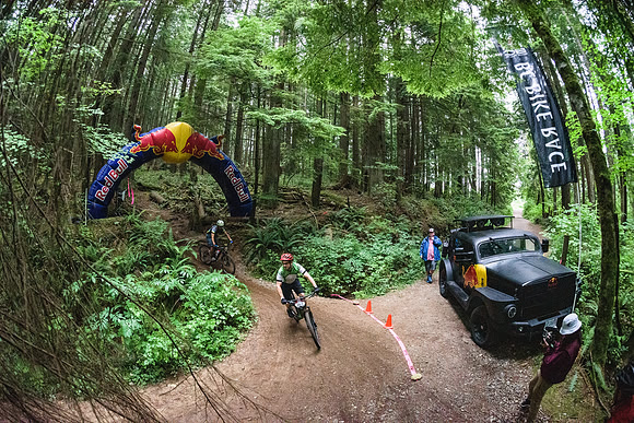 BCBR19_0_0483_DS