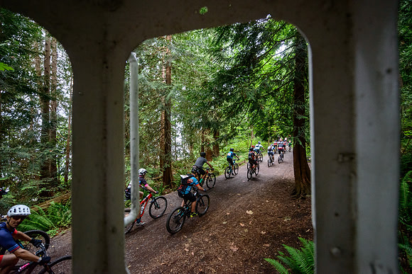 BCBR19_4_0010_RS