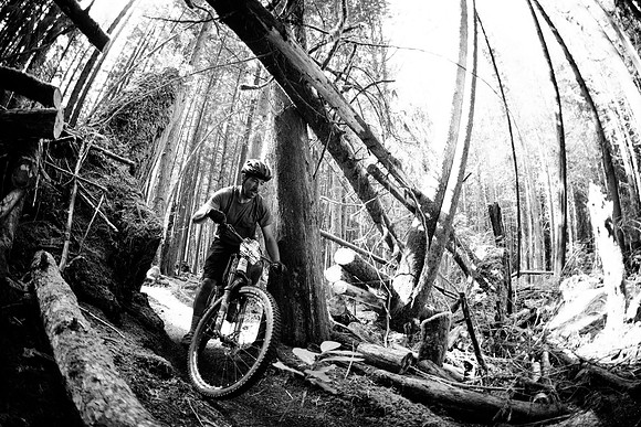 BCBR19_4_0081_MR