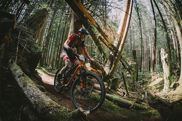 BCBR19_4_0001_MR