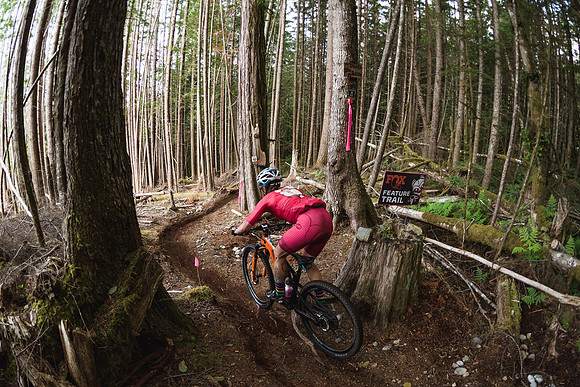 BCBR19_4_0086_DS
