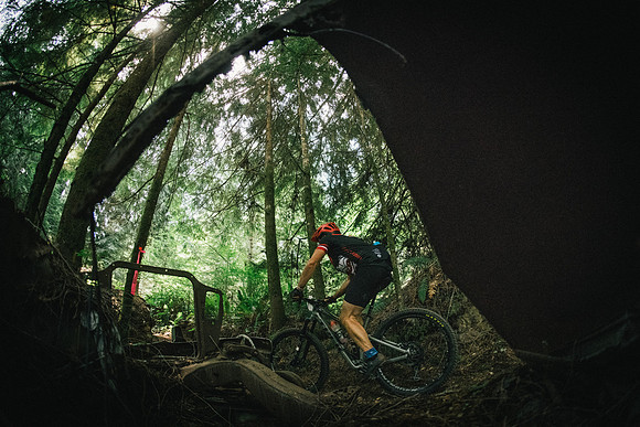 BCBR19_4_0103_MR