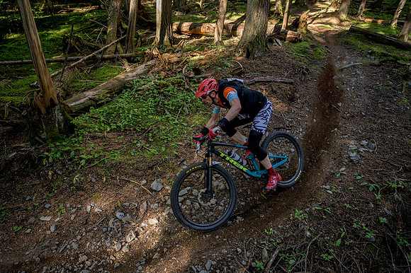 BCBR22_3_0085_DS