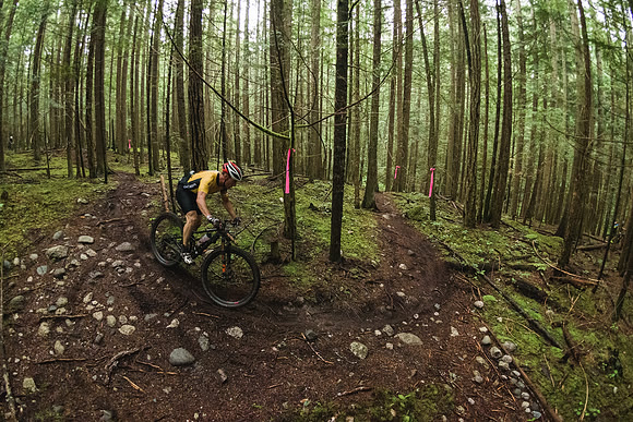 BCBR19_6_0081_DS