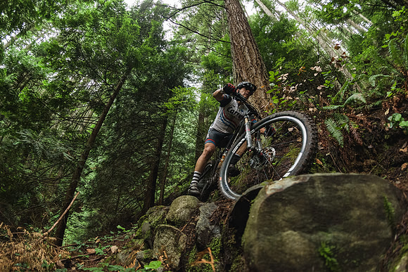 BCBR19_6_0313_DS