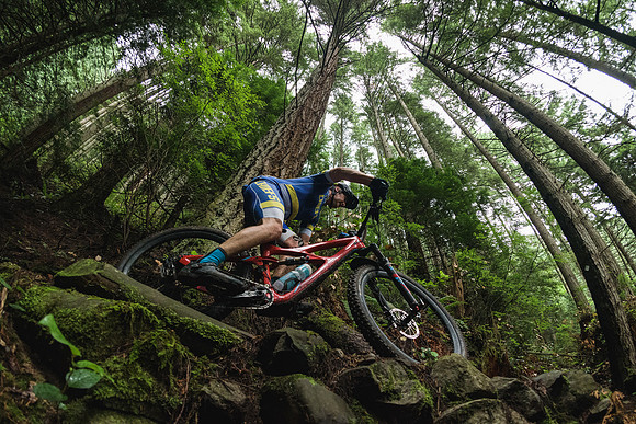 BCBR19_6_0323_DS