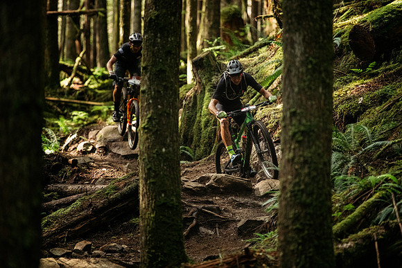 BCBR19_7_0123_MR