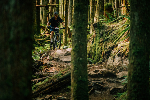 BCBR19_7_0147_MR