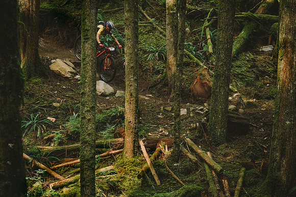 BCBR19_7_0162_MR