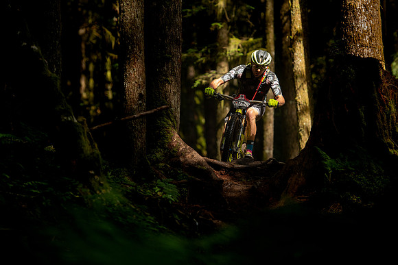 BCBR19_7_0187_MR