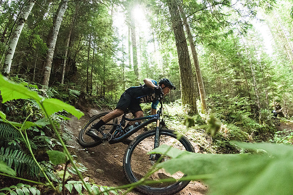 BCBR19_7_0135_DS