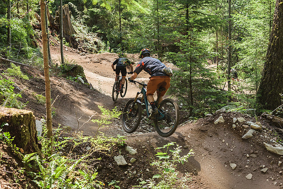 BCBR19_7_0196_DS