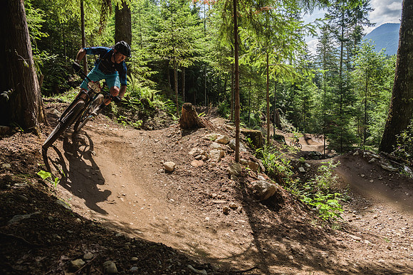 BCBR19_7_0206_DS