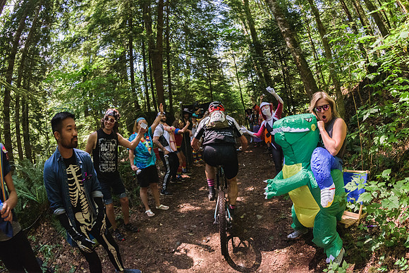 BCBR19_7_0387_DS