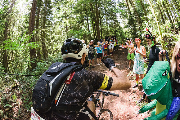 BCBR19_7_0397_DS