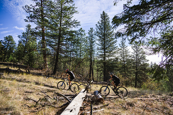 BCBR21_1_0053_DS