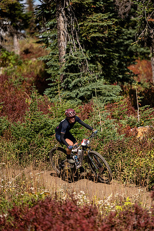 BCBR22_3_CKS02149_CS