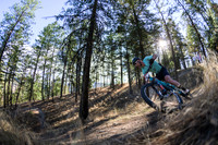 BCBR21_5_0016_DS