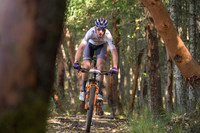 BCBR25_4_0063_DS
