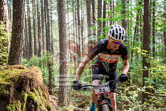 BCBR18_1_0014_TW