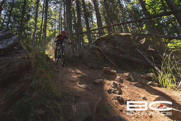 BCBR2024_Day3_JK-03912