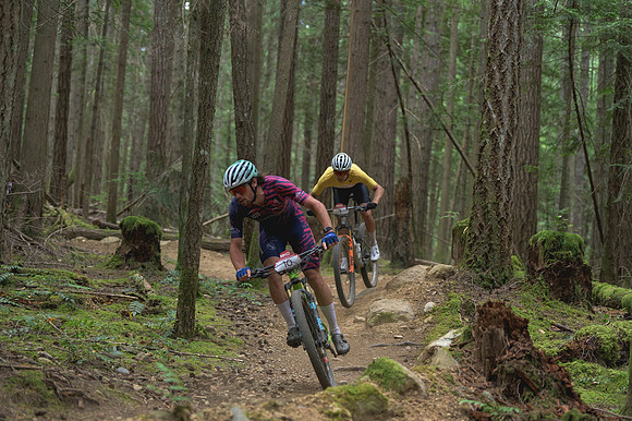 BCBR25_4_0580_DS
