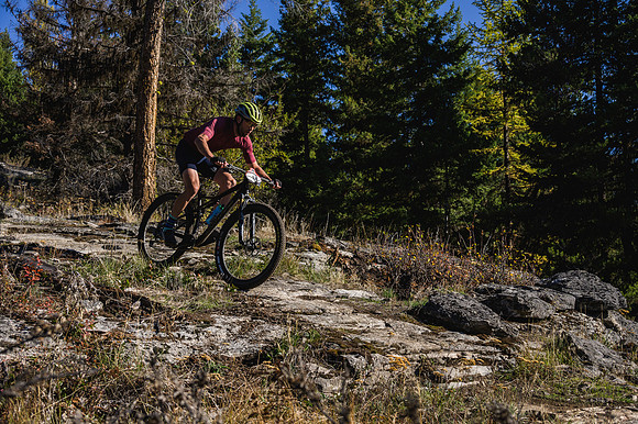 BCBR21_6_0435_DS