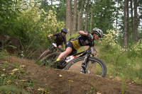 BCBR25_3_0413_DS