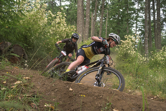 BCBR25_3_0413_DS