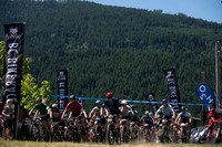 BCBR25_1_0431_DS