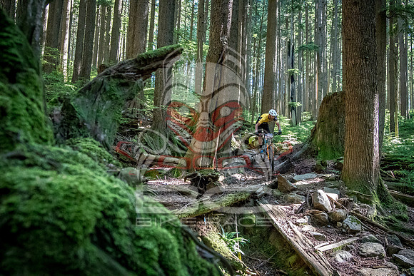 BCBR18_6_0002_SR