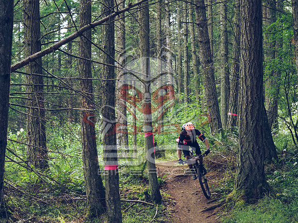 BCBR18_1_0010_LJ