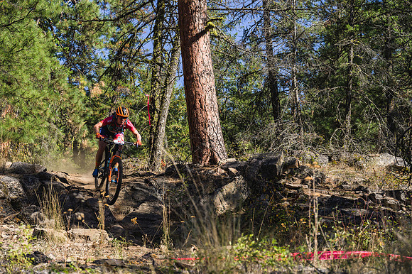 BCBR21_1_0117_DS