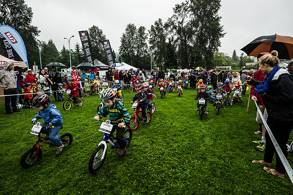 DS_BCBR0_103908-2