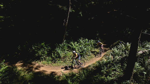 BCBR25_2_0008_DS