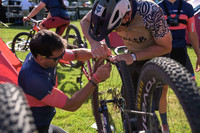 BCBR25_5_0077_DS