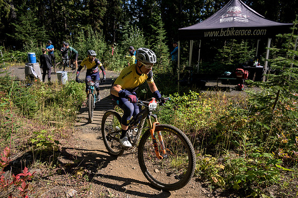 BCBR22_3_0264_DS