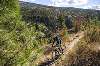 BCBR21_5_0062_DS