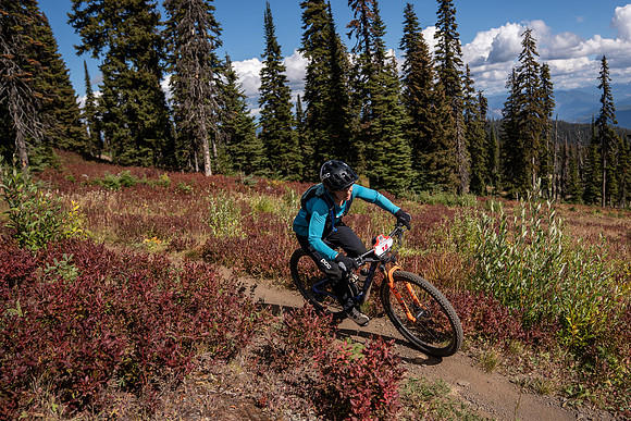 BCBR22_3_CKS02167_CS