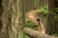 BCBR25_3_0303_DS