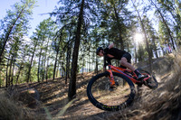 BCBR21_5_0013_DS