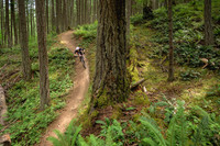 BCBR25_3_0073_DS