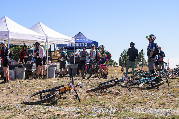 BCBR22_5_0391_DS