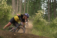 BCBR25_3_0602_DS