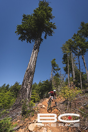 BCBR2024_Day5_JK-06078