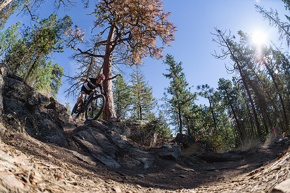 BCBR21_1_0087_DS
