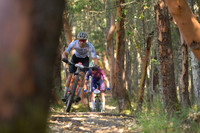 BCBR25_4_0033_DS
